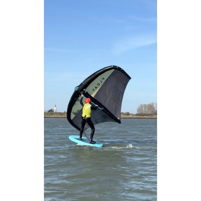 Cours de Wing-Foil 2H