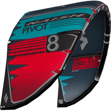 NAISH Pivot 2020