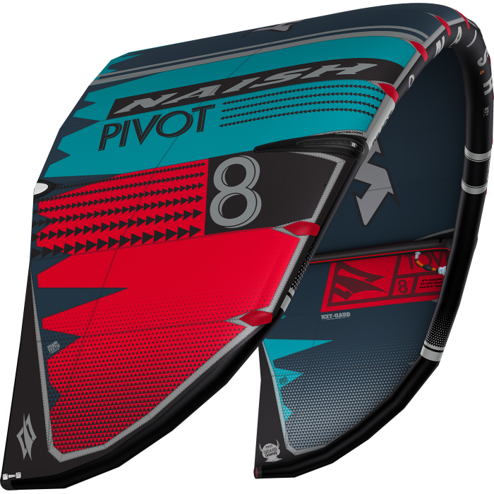 NAISH Pivot 2020