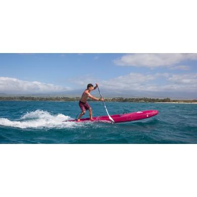 FANATIC FALCON exposition Downwind Race Carbon 2022