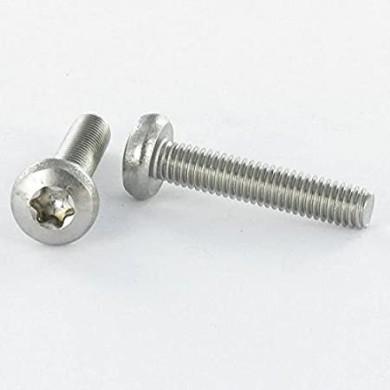 Vis inox à tête cylindrique bombée large à empreinte TORX T30 M6 mm