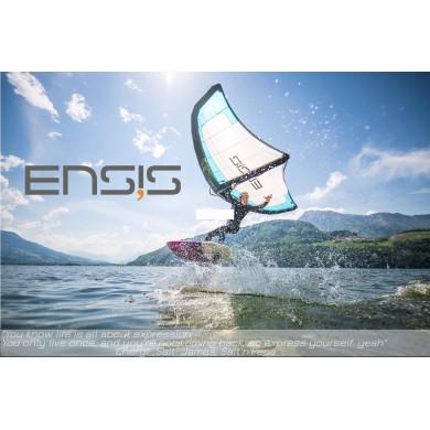 ENSIS Aile Wing 2021