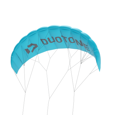 DUOTONE lizard