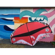 Reedin Super Natural 3.0 P Occasion