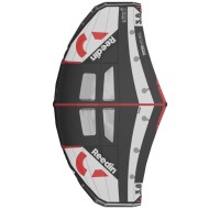 Reedin SuperNatural Wing  2.5 2023 Occasion