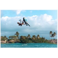 Reedin SuperNatural Wing  2.5 2023 Occasion